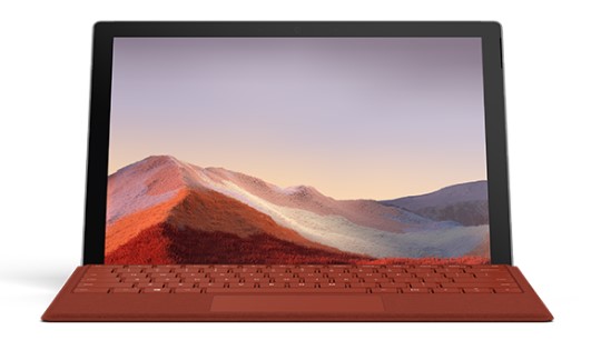 新村镇清洁和维护 Surface